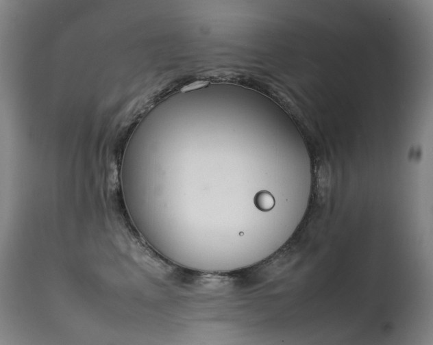 X0000111660617200907171611