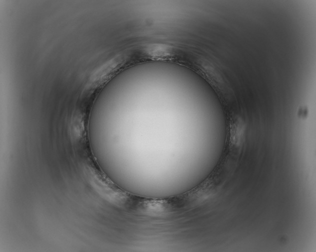 X0000111660618200907171611