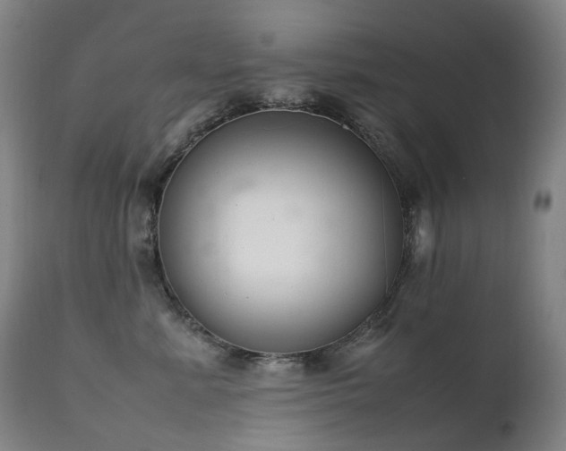 X0000111660619200907171611