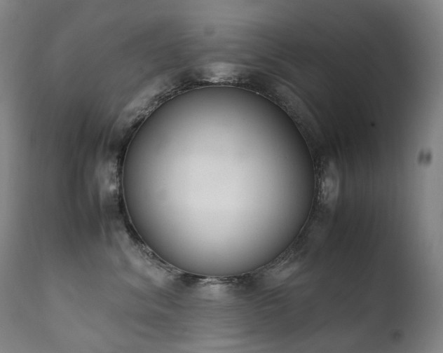 X0000111660620200907171611
