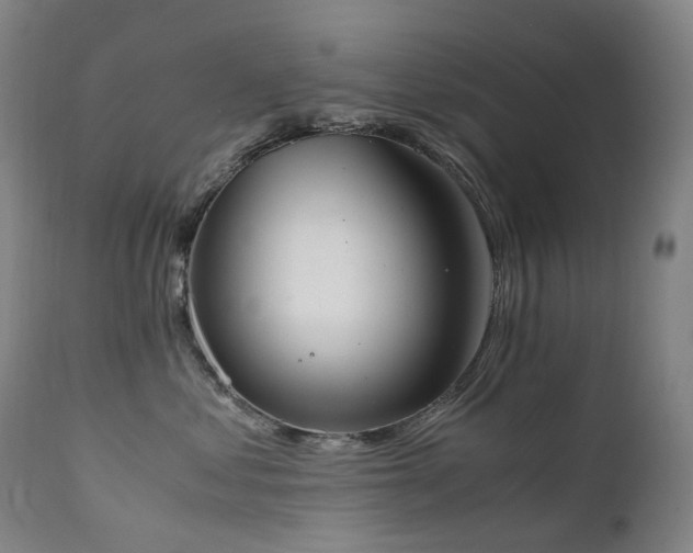X0000111660621200907171611
