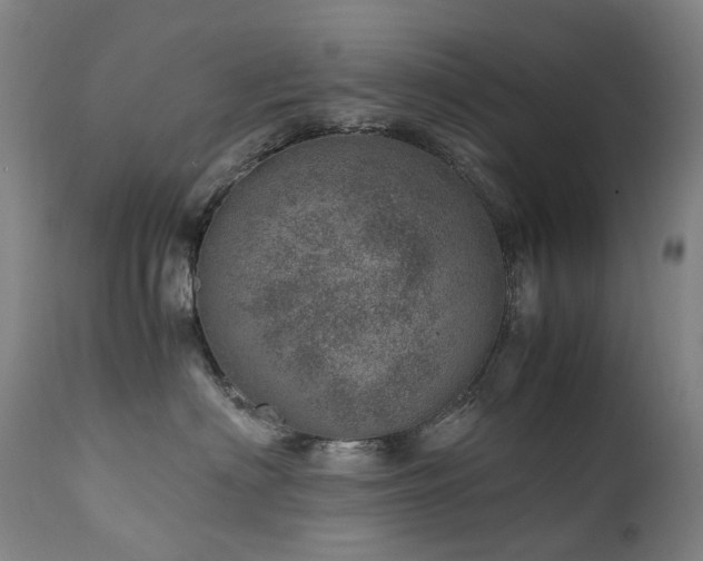 X0000111660622200907171611