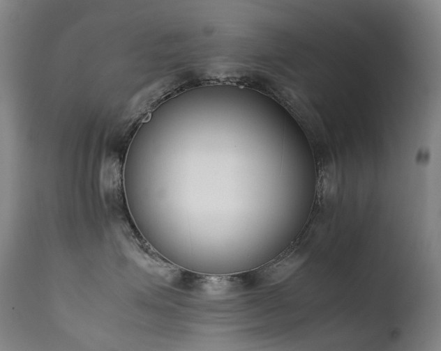 X0000111660623200907171611