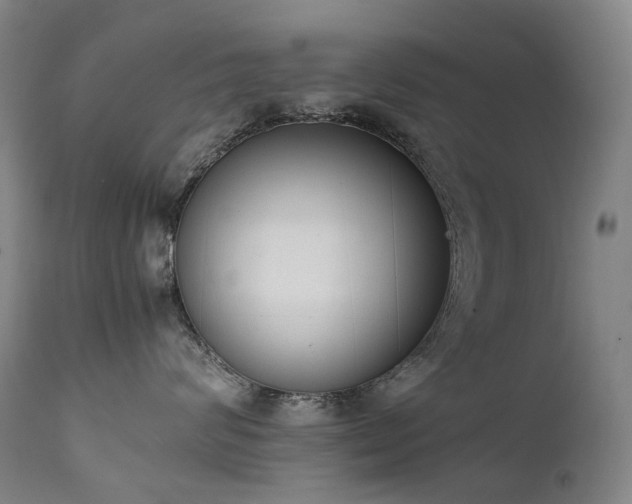 X0000111660624200907171611