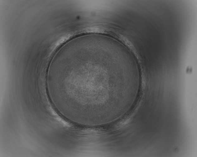 X0000111660625200907171610