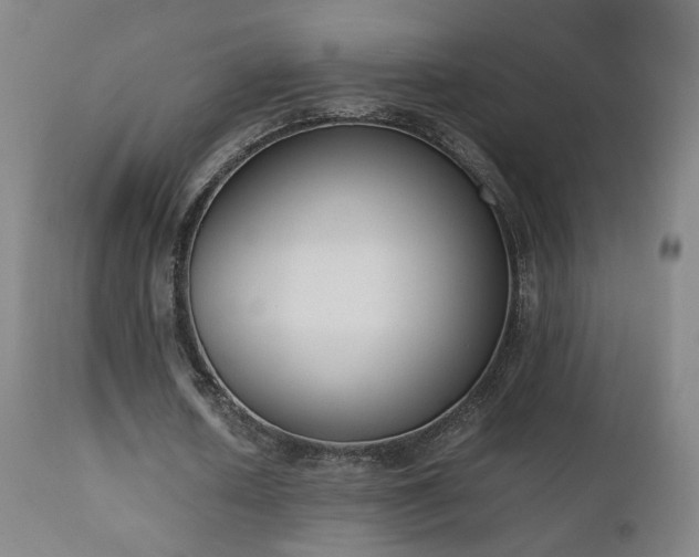 X0000111660626200907171610