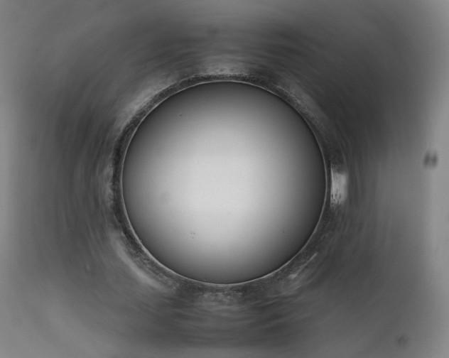 X0000111660627200907171610