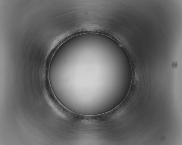 X0000111660630200907171610