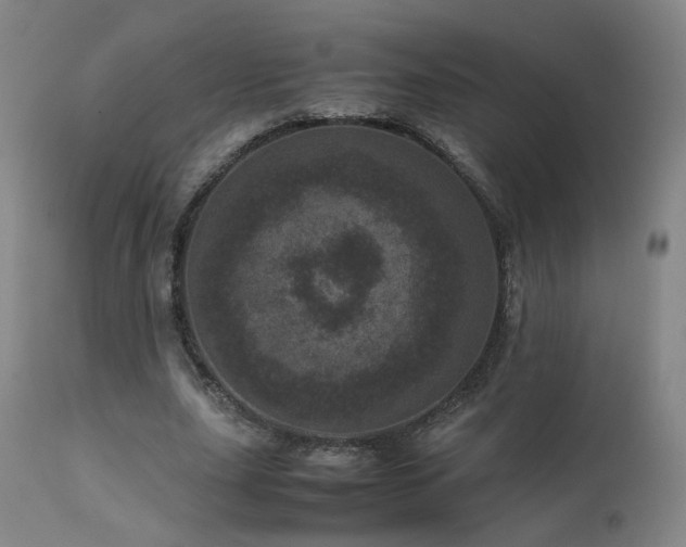 X0000111660631200907171610