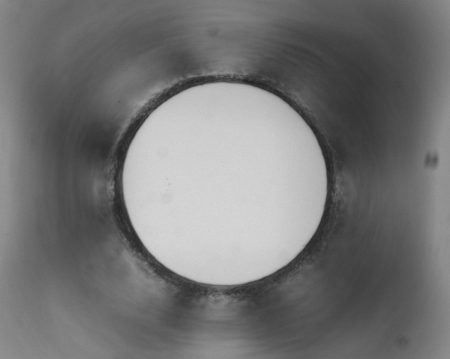 X0000111660632200907171610