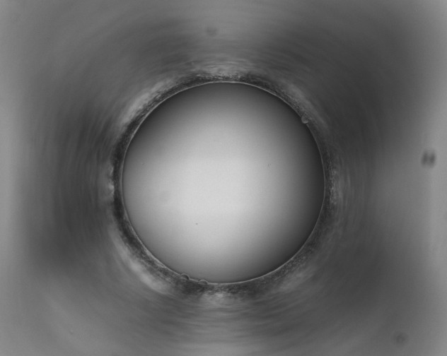 X0000111660634200907171610
