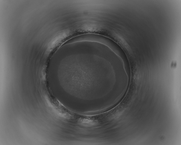 X0000111660635200907171610
