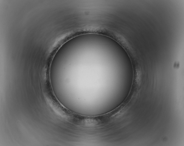 X0000111660636200907171610