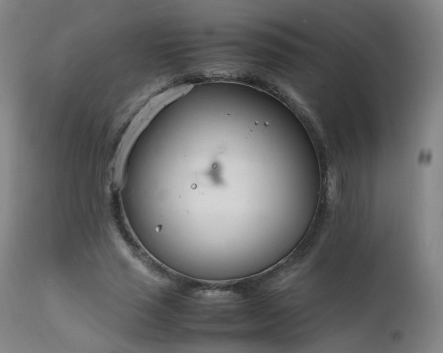 X0000111660637200907171610