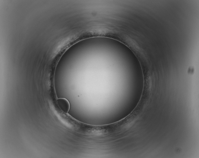 X0000111660638200907171610
