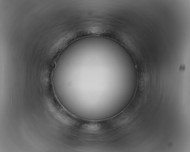 X0000111660639200907171610