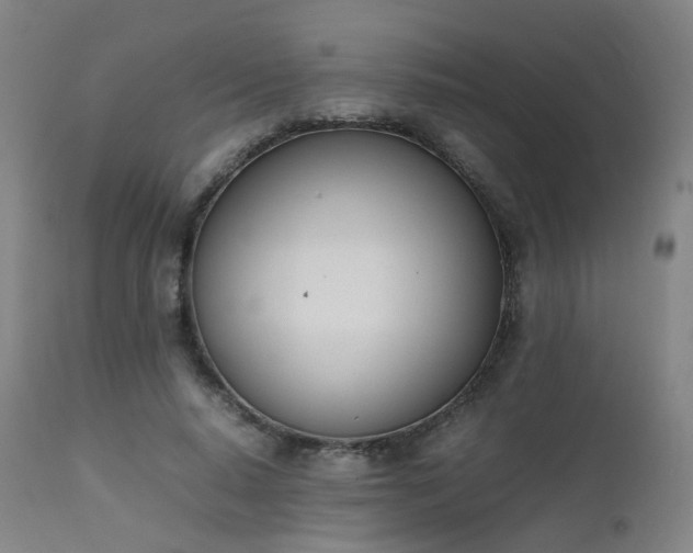 X0000111660640200907171610