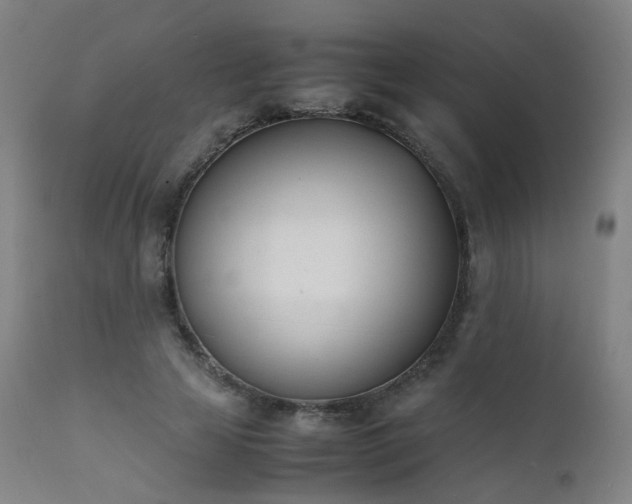 X0000111660641200907171610