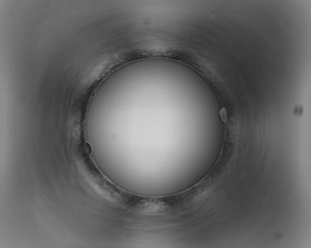 X0000111660642200907171610