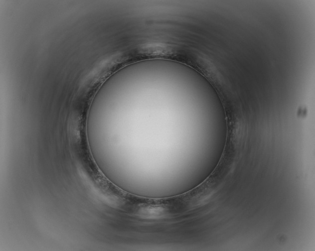 X0000111660643200907171610