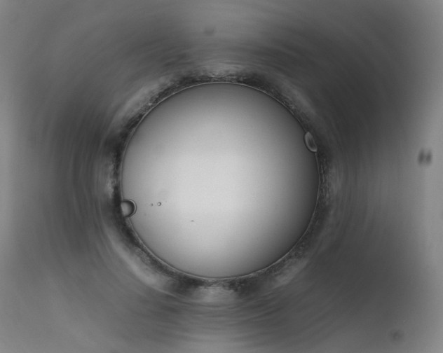 X0000111660644200907171610