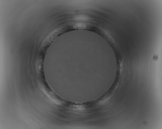 X0000111660645200907171610