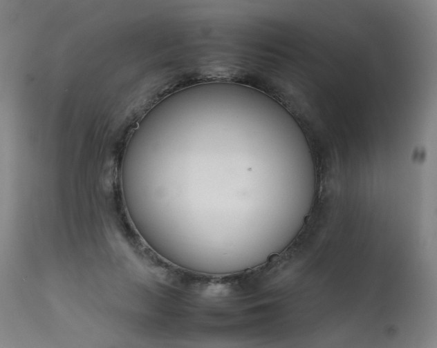 X0000111660647200907171610