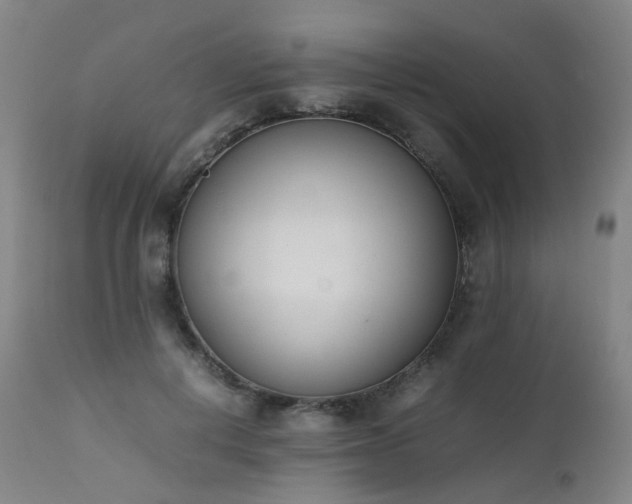 X0000111660648200907171610