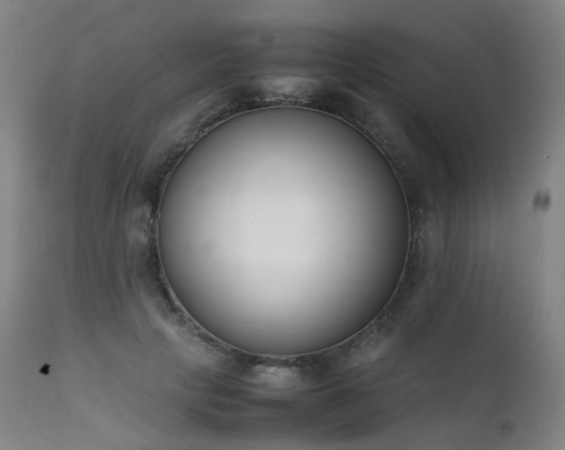 X0000111660649200907171610