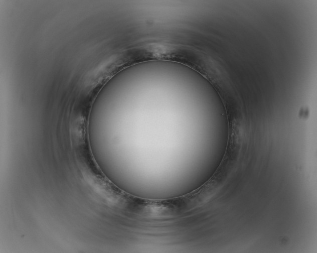 X0000111660650200907171610