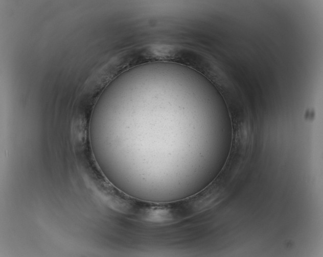 X0000111660651200907171610