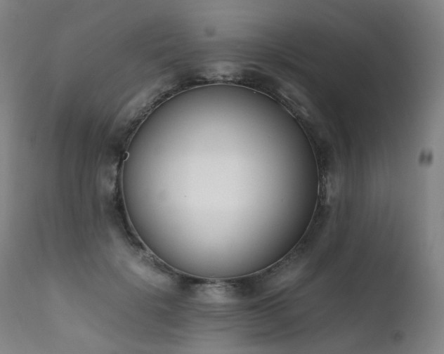 X0000111660652200907171610