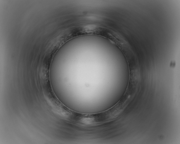 X0000111660653200907171610