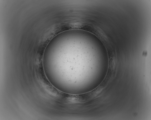 X0000111660655200907171611