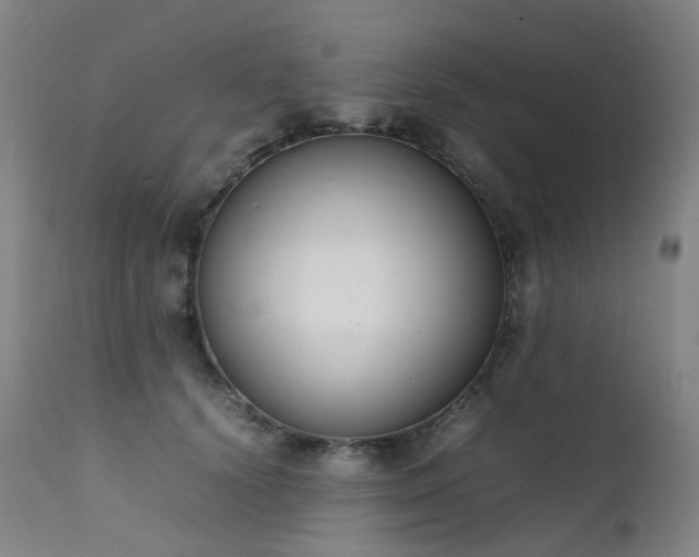 X0000111660656200907171611