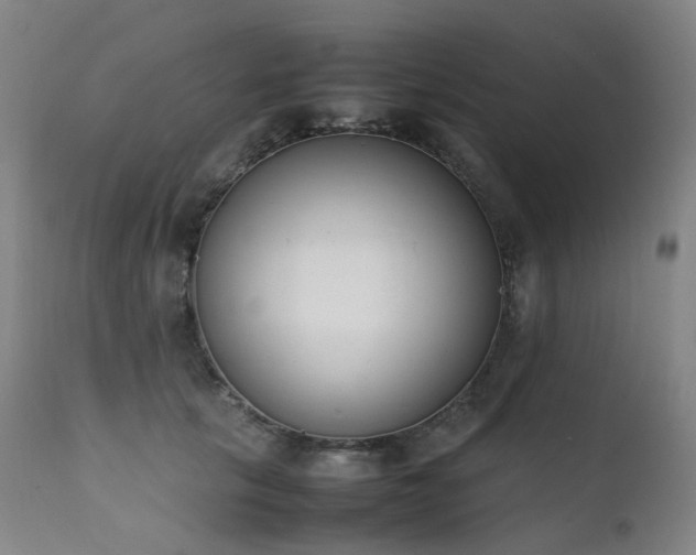 X0000111660657200907171611