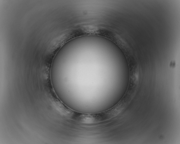 X0000111660658200907171611