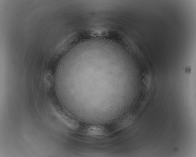 X0000111660659200907171611