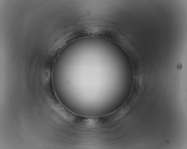 X0000111660660200907171611