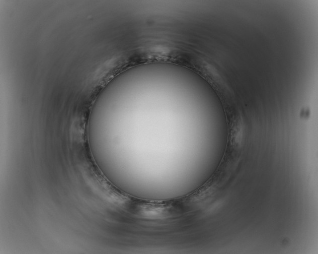 X0000111660661200907171611