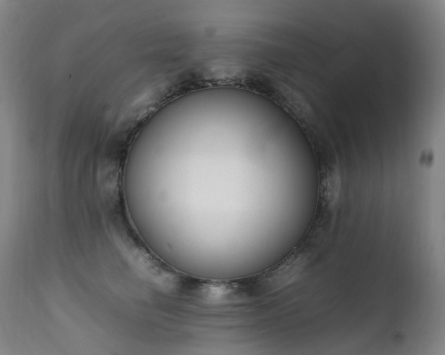 X0000111660662200907171611