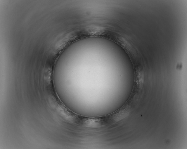 X0000111660664200907171611