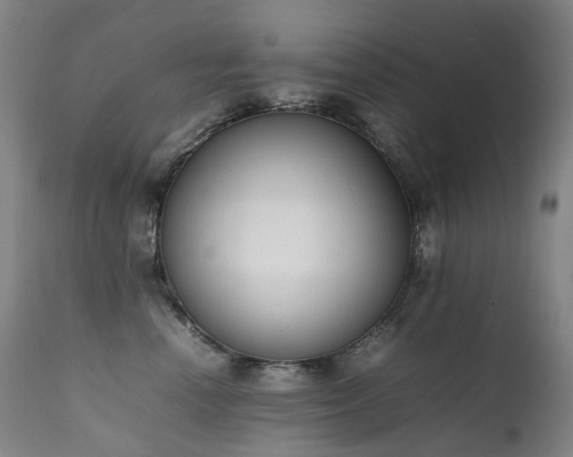 X0000111660666200907171611