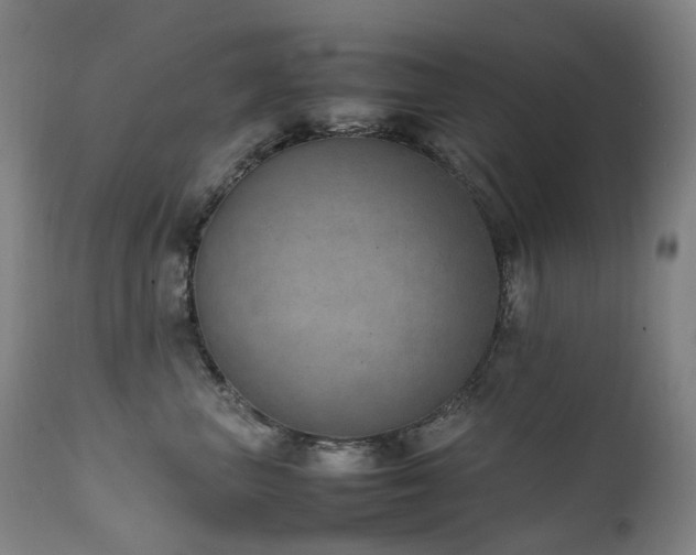 X0000111660667200907171611
