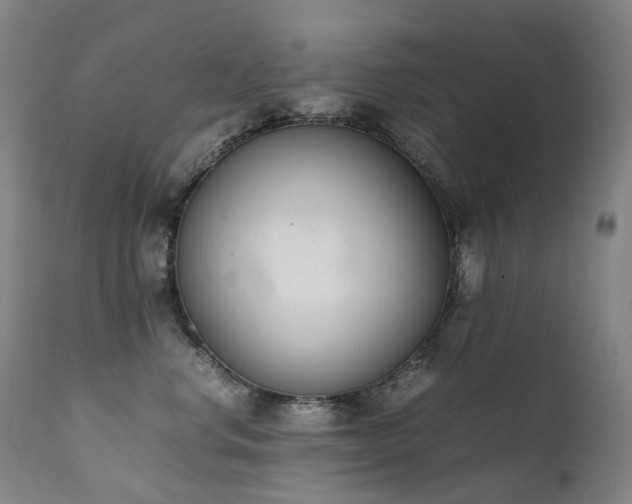 X0000111660668200907171611