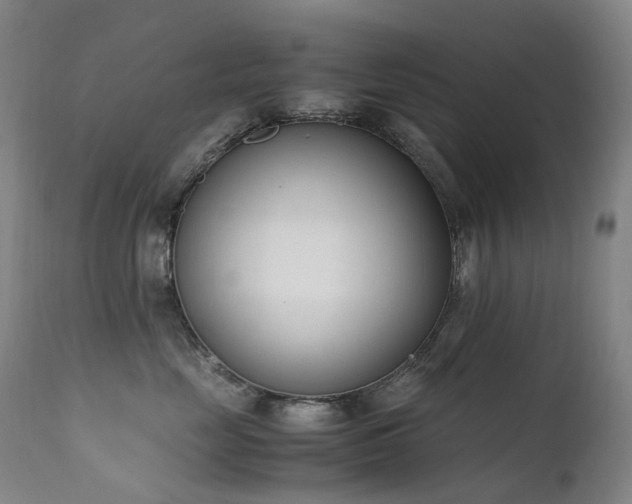 X0000111660669200907171611