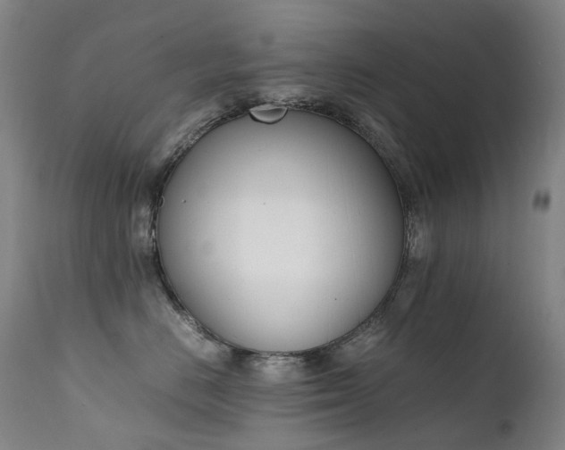 X0000111660670200907171611