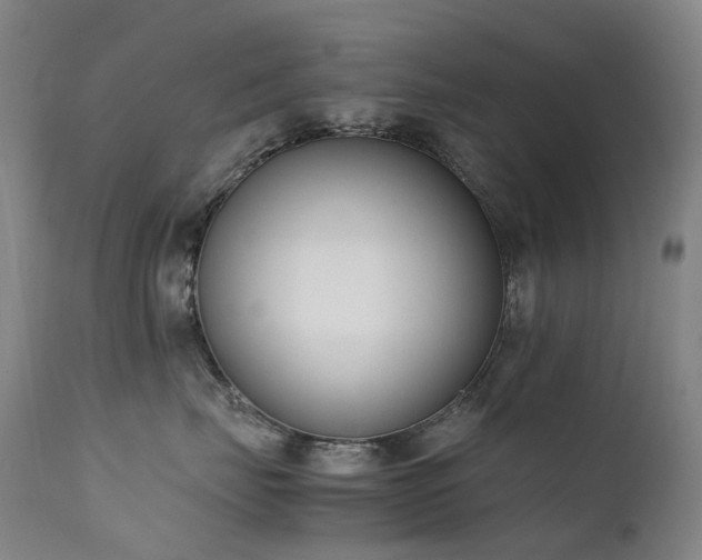 X0000111660671200907171611