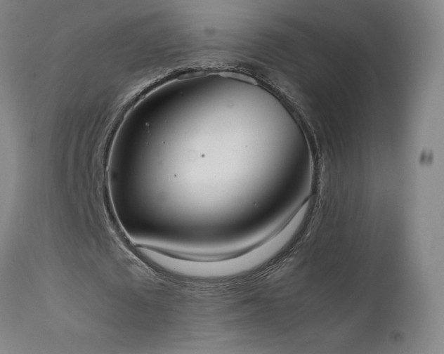 X0000111660673200907171610