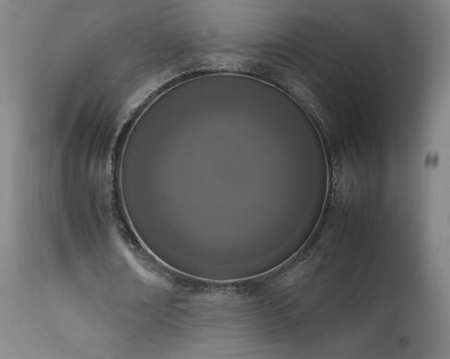 X0000111660674200907171610